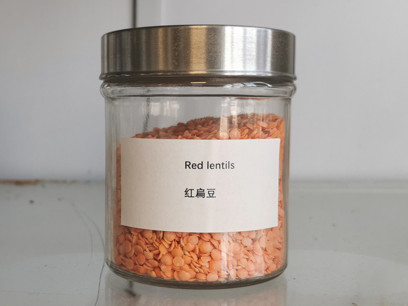 红扁豆